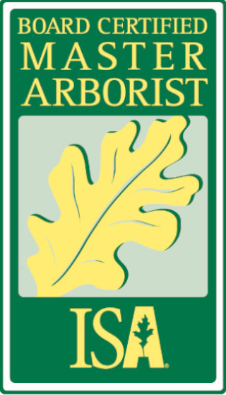 Certificazione di Master Professional Tree Climber