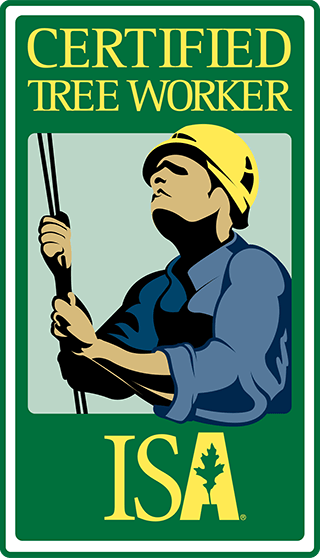 Certificazione di Professional Tree Climber e Certified Tree Worker