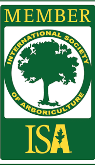Certificazione di membro della Società Internazionale di Arboricoltura per Professional Tree Climber